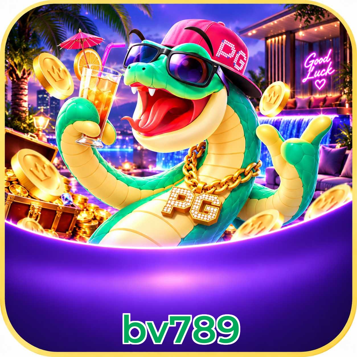Benefícios Bronze VIP da bv789